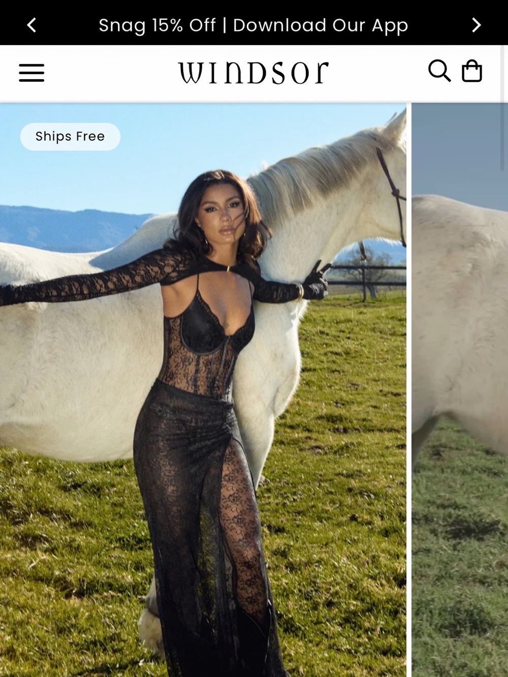 Windsor Black Lace Long-Sleeve Sheer Bodysuit Gown
